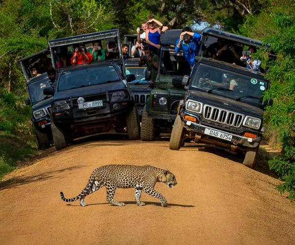 Wildlife & Nature Escape – 6 Days / 5 Nights